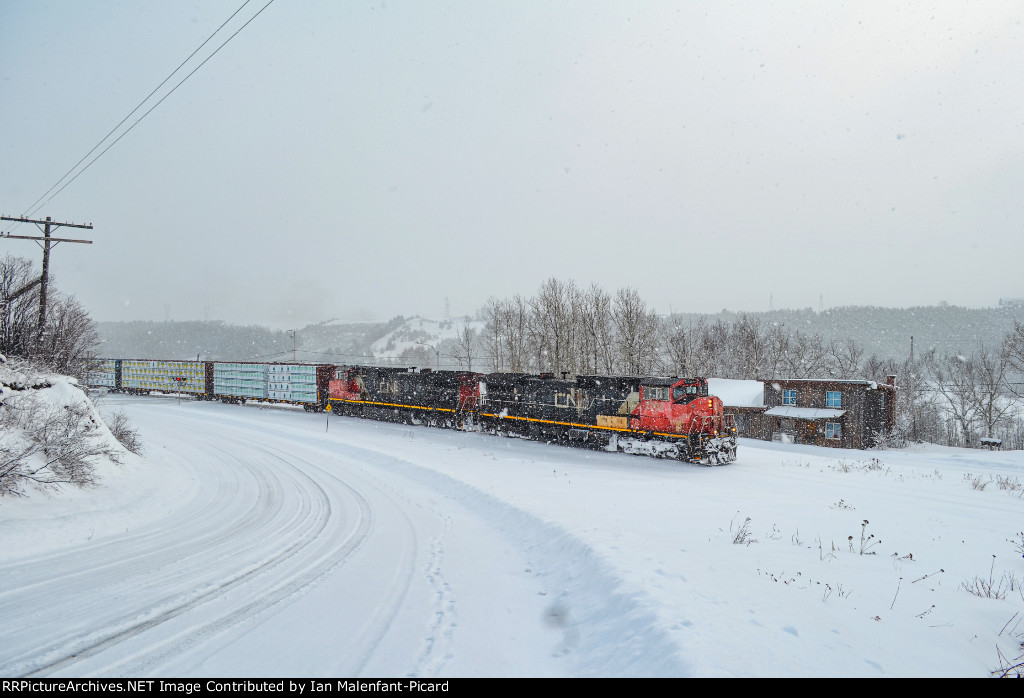 Canadians in the Snow